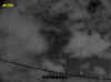 5.JPG (53325 byte)
