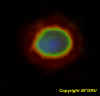 Globo5luglio2007 2258 filtrato.jpg (126287 byte)