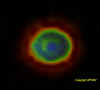 Globo5luglio2007 23 filtrato.jpg (270054 byte)