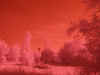 boara ir.jpg (1079889 byte)