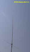 MoFLA ant1.JPG (1033124 byte)