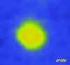 falsi colori frame100.JPG (31313 byte)