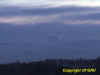 globo pradespin 008 saturata.JPG (32849 byte)