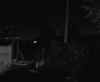 insetto ir.jpg (286092 byte)