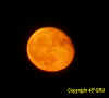 luna olympus.jpg (31327 byte)