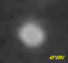 particolare frame100.JPG (8911 byte)
