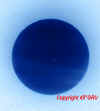 sole macchia zoom nega jpg.jpg (138694 byte)